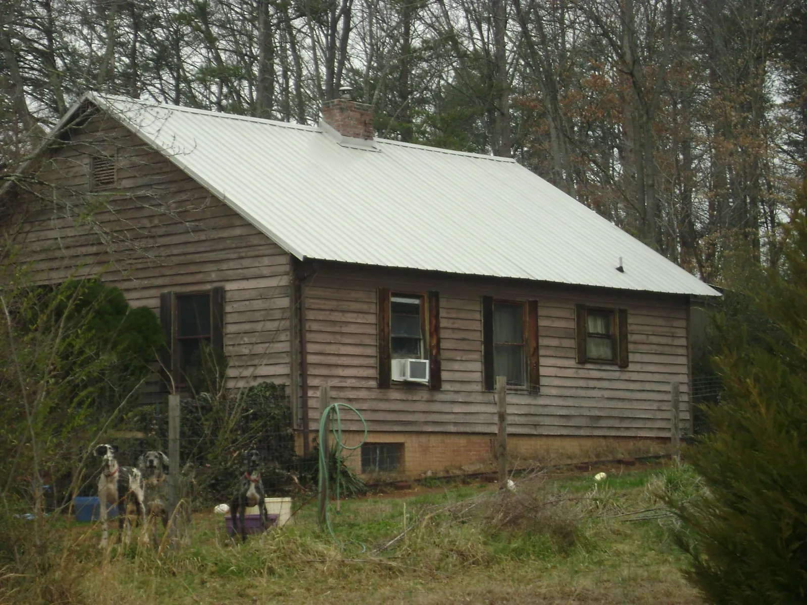 White metal roof on an old wood sided farmhouse, from a Metal Roof Installation job in Elk Mountain